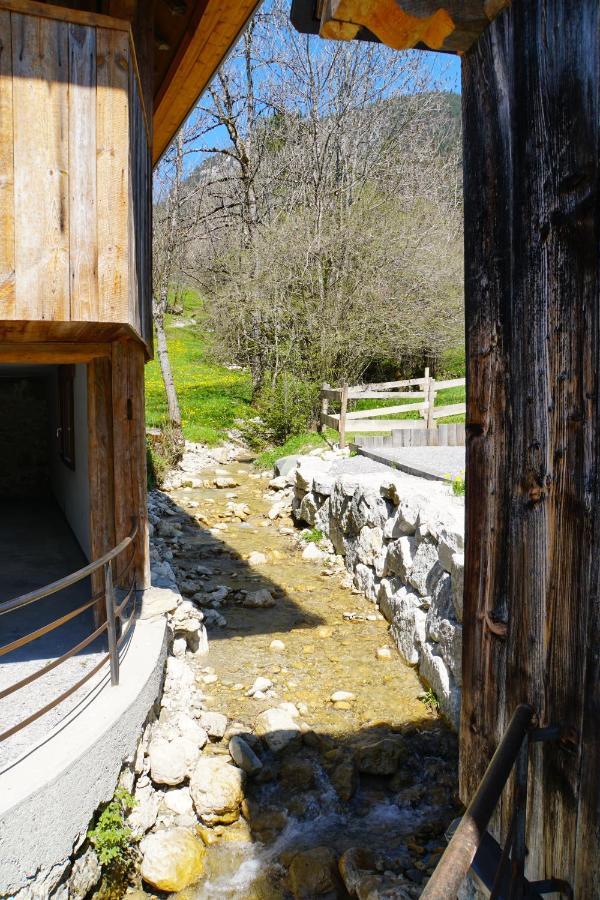 Вилла La Grange Au Ruisseau Bellecombe-en-Beauges Экстерьер фото