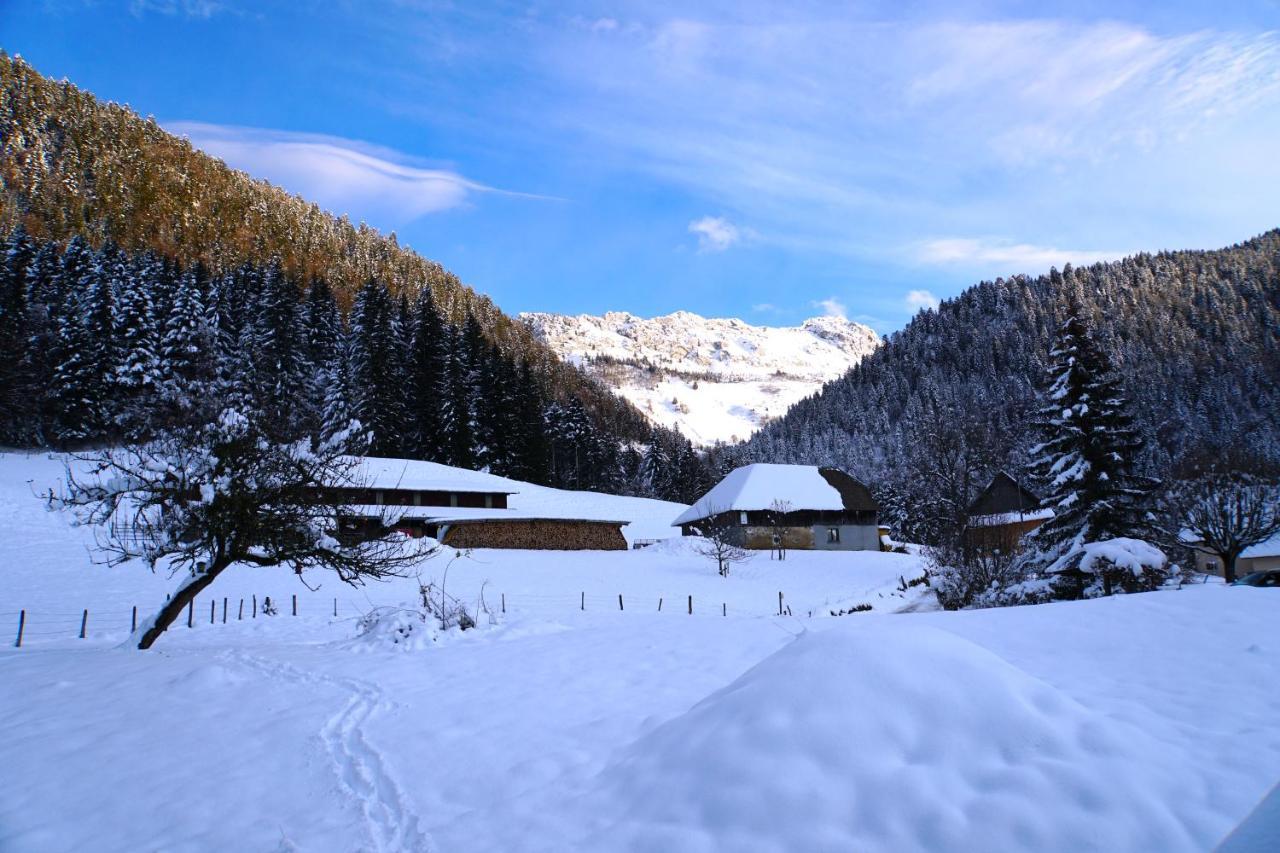 Вилла La Grange Au Ruisseau Bellecombe-en-Beauges Экстерьер фото